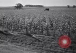 Standbild Regierung Verteilung von Nahrungsmitteln an Pächter Iowa United States USA, 1939, aus Sekunde 51 historischem Filmmaterial Videoclip 65675021578