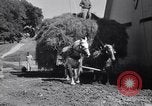 Standbild Regierung Verteilung von Nahrungsmitteln an Pächter Iowa United States USA, 1939, aus Sekunde 52 historischem Filmmaterial Videoclip 65675021578
