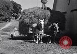 Standbild Regierung Verteilung von Nahrungsmitteln an Pächter Iowa United States USA, 1939, aus Sekunde 53 historischem Filmmaterial Videoclip 65675021578