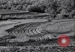 Immagine di Azienda americana agricoltura negli anni trenta United States USA, 1939, secondo 45 filmato di repertorio 65675021581