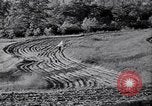 Immagine di Azienda americana agricoltura negli anni trenta United States USA, 1939, secondo 54 filmato di repertorio 65675021581