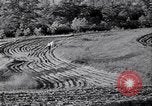 Immagine di Azienda americana agricoltura negli anni trenta United States USA, 1939, secondo 55 filmato di repertorio 65675021581