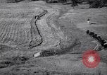 Immagine di Azienda americana agricoltura negli anni trenta United States USA, 1939, secondo 56 filmato di repertorio 65675021581
