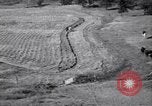 Immagine di Azienda americana agricoltura negli anni trenta United States USA, 1939, secondo 57 filmato di repertorio 65675021581