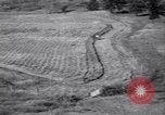 Immagine di Azienda americana agricoltura negli anni trenta United States USA, 1939, secondo 58 filmato di repertorio 65675021581