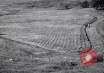 Immagine di Azienda americana agricoltura negli anni trenta United States USA, 1939, secondo 60 filmato di repertorio 65675021581