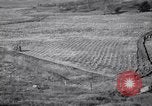 Immagine di Azienda americana agricoltura negli anni trenta United States USA, 1939, secondo 61 filmato di repertorio 65675021581