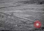 Immagine di Azienda americana agricoltura negli anni trenta United States USA, 1939, secondo 62 filmato di repertorio 65675021581