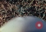 Immagine di American Air Force personale Isola di Luzon nelle Filippine, 1967, secondo 3 filmato di repertorio 65675021584