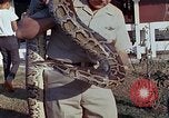 Immagine di American Air Force personale Isola di Luzon nelle Filippine, 1967, secondo 41 filmato di repertorio 65675021584