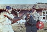 Immagine di American Air Force personale Isola di Luzon nelle Filippine, 1967, secondo 46 filmato di repertorio 65675021584