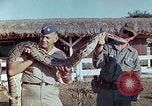 Immagine di American Air Force personale Isola di Luzon nelle Filippine, 1967, secondo 51 filmato di repertorio 65675021584