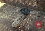 Image of United States airmen Vietnam, 1967, second 26 stock footage video 65675021609