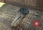 Image of United States airmen Vietnam, 1967, second 28 stock footage video 65675021609
