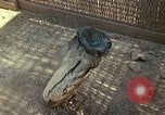 Image of United States airmen Vietnam, 1967, second 32 stock footage video 65675021609