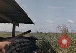 Image of Binh Thuy Air Base Vietnam, 1967, second 39 stock footage video 65675021613