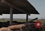 Image of Binh Thuy Air Base Vietnam, 1967, second 50 stock footage video 65675021613
