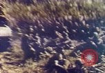 Standbild sowjetische militärische Ausrüstung Sowjetunion, 1975, aus Sekunde 19 historischem Filmmaterial Videoclip 65675021660