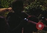 Image Campagne Nguyen Hue Kontum Vietnam, 1972, de la seconde 11 séquences d'archives historiques vidéo 65675021665