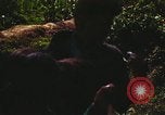 Image Campagne Nguyen Hue Kontum Vietnam, 1972, de la seconde 15 séquences d'archives historiques vidéo 65675021665
