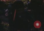 Image Campagne Nguyen Hue Kontum Vietnam, 1972, de la seconde 37 séquences d'archives historiques vidéo 65675021665