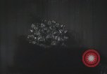 Image la Chine rouge Chine, 1961, de la seconde 32 séquences d'archives historiques vidéo 65675021674