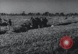 Image of Chinese Great Leap Forward China, 1961, second 1 stock footage video 65675021676
