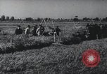 Image of Chinese Great Leap Forward China, 1961, second 3 stock footage video 65675021676