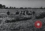 Image of Chinese Great Leap Forward China, 1961, second 4 stock footage video 65675021676