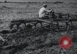 Image of Chinese Great Leap Forward China, 1961, second 19 stock footage video 65675021676