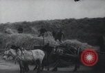 Image of Chinese Great Leap Forward China, 1961, second 20 stock footage video 65675021676