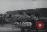 Image of Chinese Great Leap Forward China, 1961, second 22 stock footage video 65675021676