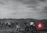 Image of Chinese Great Leap Forward China, 1961, second 34 stock footage video 65675021676