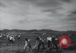 Image of Chinese Great Leap Forward China, 1961, second 35 stock footage video 65675021676