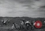 Image of Chinese Great Leap Forward China, 1961, second 36 stock footage video 65675021676