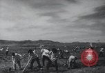 Image of Chinese Great Leap Forward China, 1961, second 38 stock footage video 65675021676