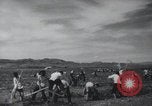 Image of Chinese Great Leap Forward China, 1961, second 39 stock footage video 65675021676