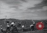 Image of Chinese Great Leap Forward China, 1961, second 40 stock footage video 65675021676