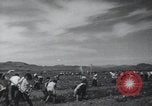 Image of Chinese Great Leap Forward China, 1961, second 42 stock footage video 65675021676
