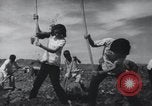 Image of Chinese Great Leap Forward China, 1961, second 45 stock footage video 65675021676