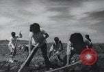 Image of Chinese Great Leap Forward China, 1961, second 46 stock footage video 65675021676