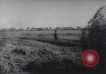 Image of Chinese Great Leap Forward China, 1961, second 47 stock footage video 65675021676
