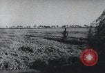 Image of Chinese Great Leap Forward China, 1961, second 48 stock footage video 65675021676