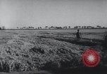 Image of Chinese Great Leap Forward China, 1961, second 49 stock footage video 65675021676
