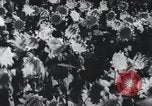 Image of Chinese aggression China, 1963, second 51 stock footage video 65675021679