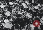 Image of Chinese aggression China, 1963, second 52 stock footage video 65675021679