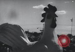 Image of Chinese aggression China, 1963, second 62 stock footage video 65675021679