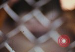 Image of LSD experiments animal testing San Francisco California USA, 1968, second 6 stock footage video 65675021680