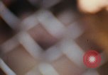 Image of LSD experiments animal testing San Francisco California USA, 1968, second 7 stock footage video 65675021680