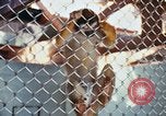 Image of LSD experiments animal testing San Francisco California USA, 1968, second 21 stock footage video 65675021680